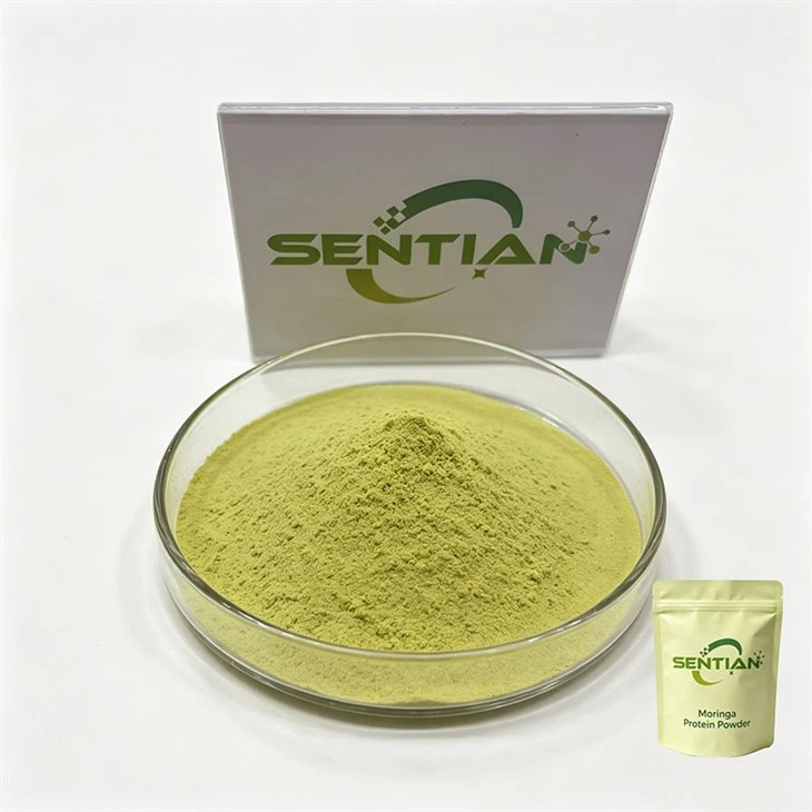 Powdwr Protein Moringa