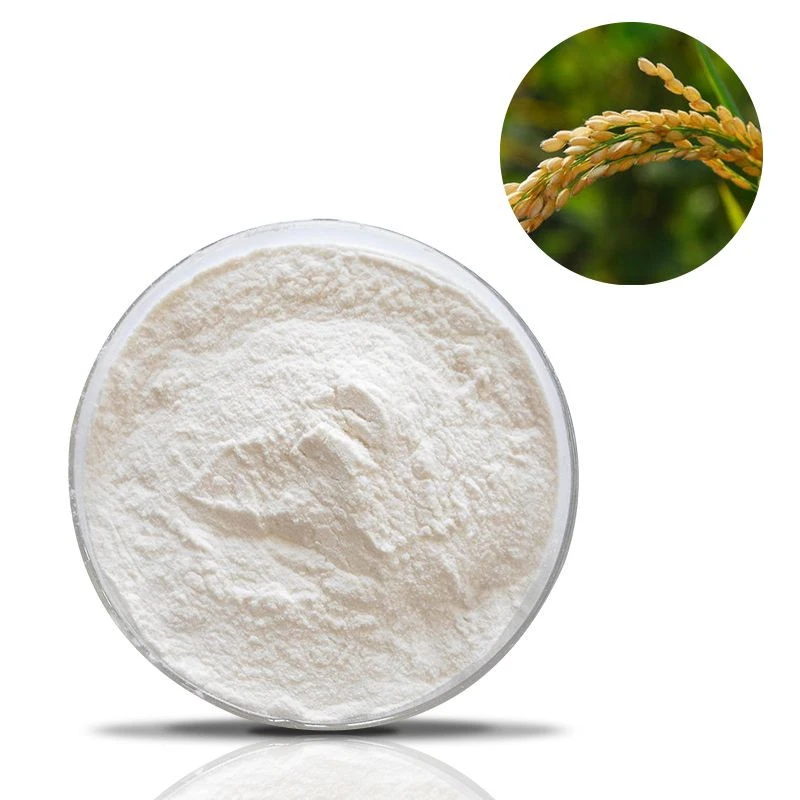 Rice Bran Extract Rice Bran Extract